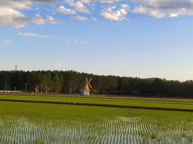 鲤鱼|钓鱼日记——2023年6月10日(滨河公园附近夜钓)