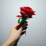历史故事贯古今