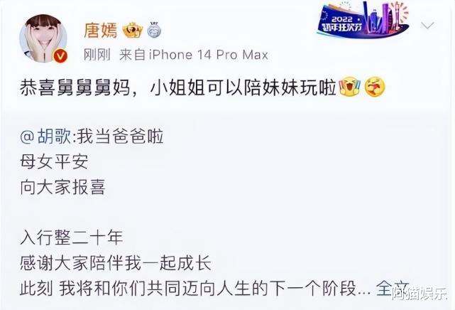 胡歌|胡歌娶妻生女,身份“一拖三”,罗晋的“烦恼”来了