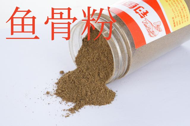 冬天钓鱼发窝慢？几分钟教你合理加腥，新手看懂都能连竿