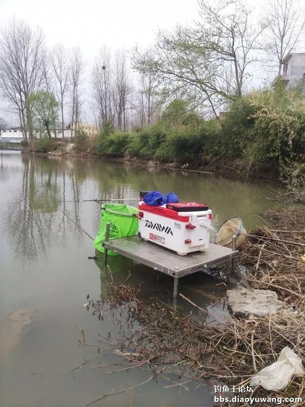 鲤鱼|断崖式降温,巧搭饵料擒斤鲫