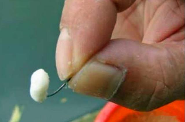 饵料|天热鲫鱼难钓？教你一套“3多2勤”钓法，保你不再走弯路