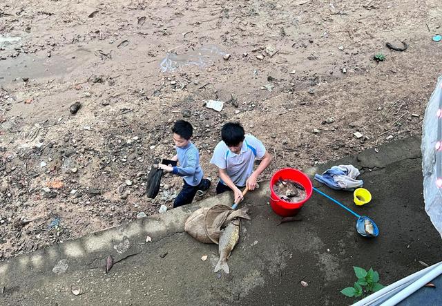 鲤鱼|江苏两小学生河边收获几十斤鱼，附近钓鱼人：不可能是钓的