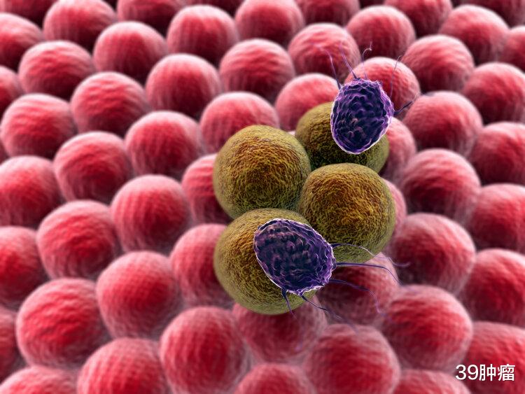 饿一饿能多活20年?日本科学家发现:饥饿时,细胞会自己吃掉自己