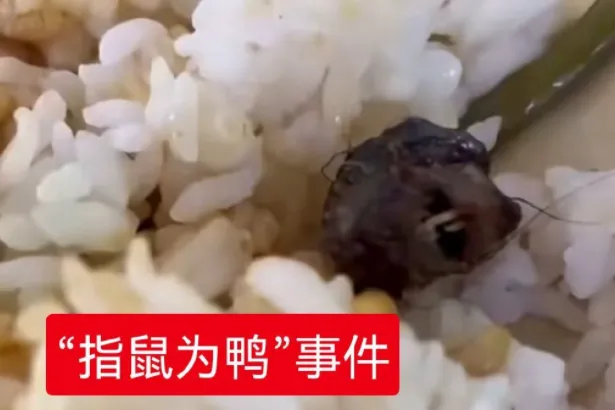 牛肉|大学食堂疑吃出鼠头,食堂店长说是牛肉