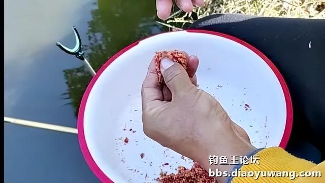 饵料|钓鱼王新款饵料“红虫”搭配今晚吃鱼，爽钓小鲫鱼
