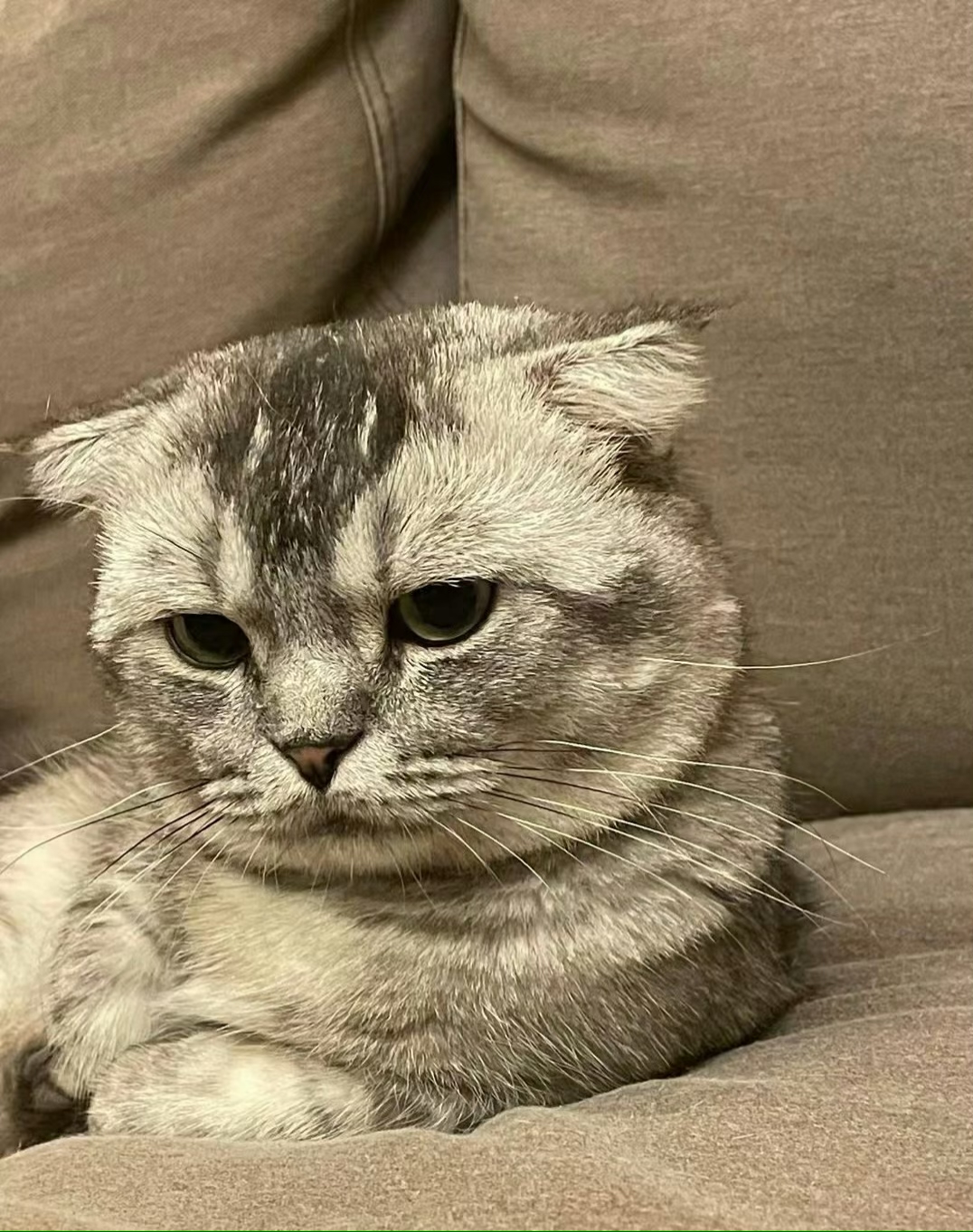 吴费曼|15岁吴费曼官宣恋情，女方正脸照曝光，清纯可爱走日系风