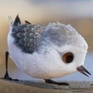香萱聊过去