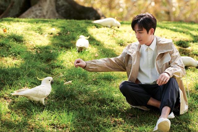 蔡卓宜|【小八卦】杨洋 蔡卓宜 彭昱畅 吴昕 刘雨昕 朱一龙 陈飞宇 关晓彤