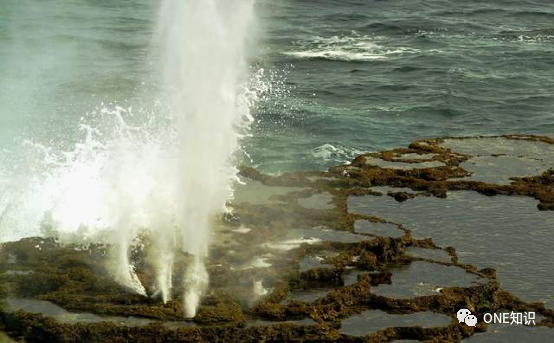 塔布|位于南太平洋上的汤加塔布岛，海岸上为什么会形成“喷潮洞”？