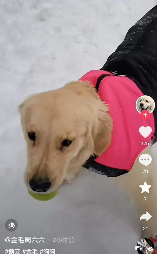 周海媚被曝在抢救！网友怒斥媒体添乱：有生命体征，全力抢救中