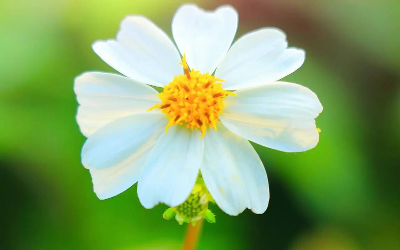 职场故事|专家称年轻人工资低是能力不够:在职场做内卷式员工,是什么体验