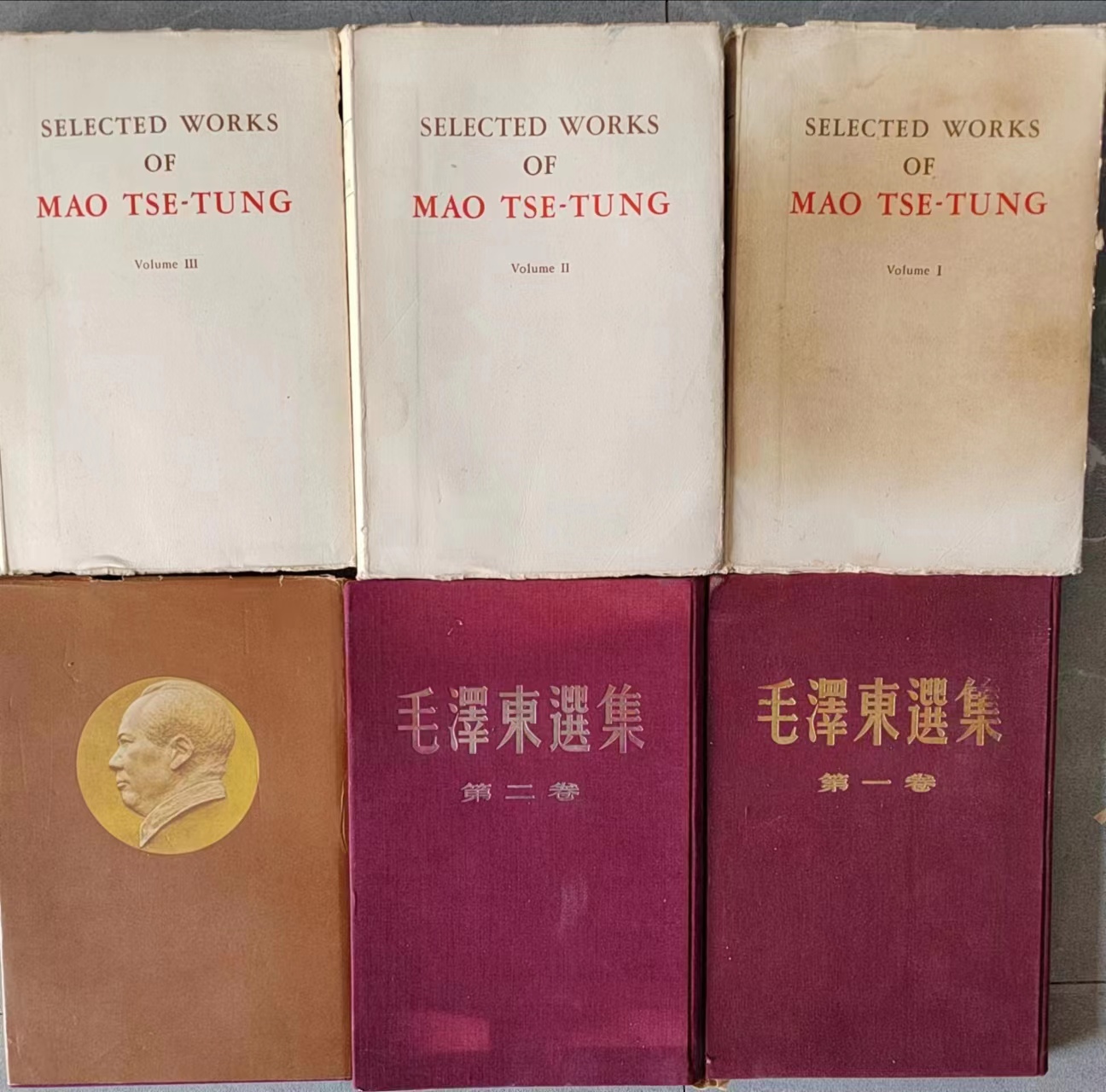 |中了书的毒