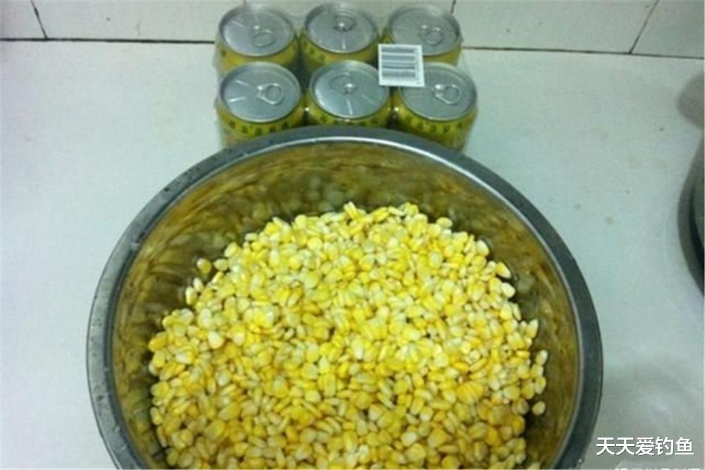 玉米|素饵之王的多个配方，出门钓大鱼，必须备上一种