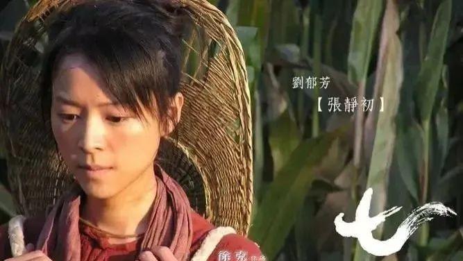 张静初|实惨，插足导演是假的，被陷害退圈？