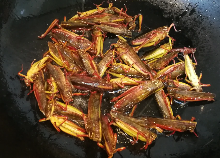 山东省|山东“四大怪菜”，当地人吃不腻，外地人吃不惯，你有没有吃过？