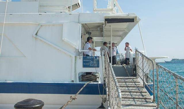 船员|为什么到处都是招聘海员，海员的工资有多高？为何很少人愿意去？