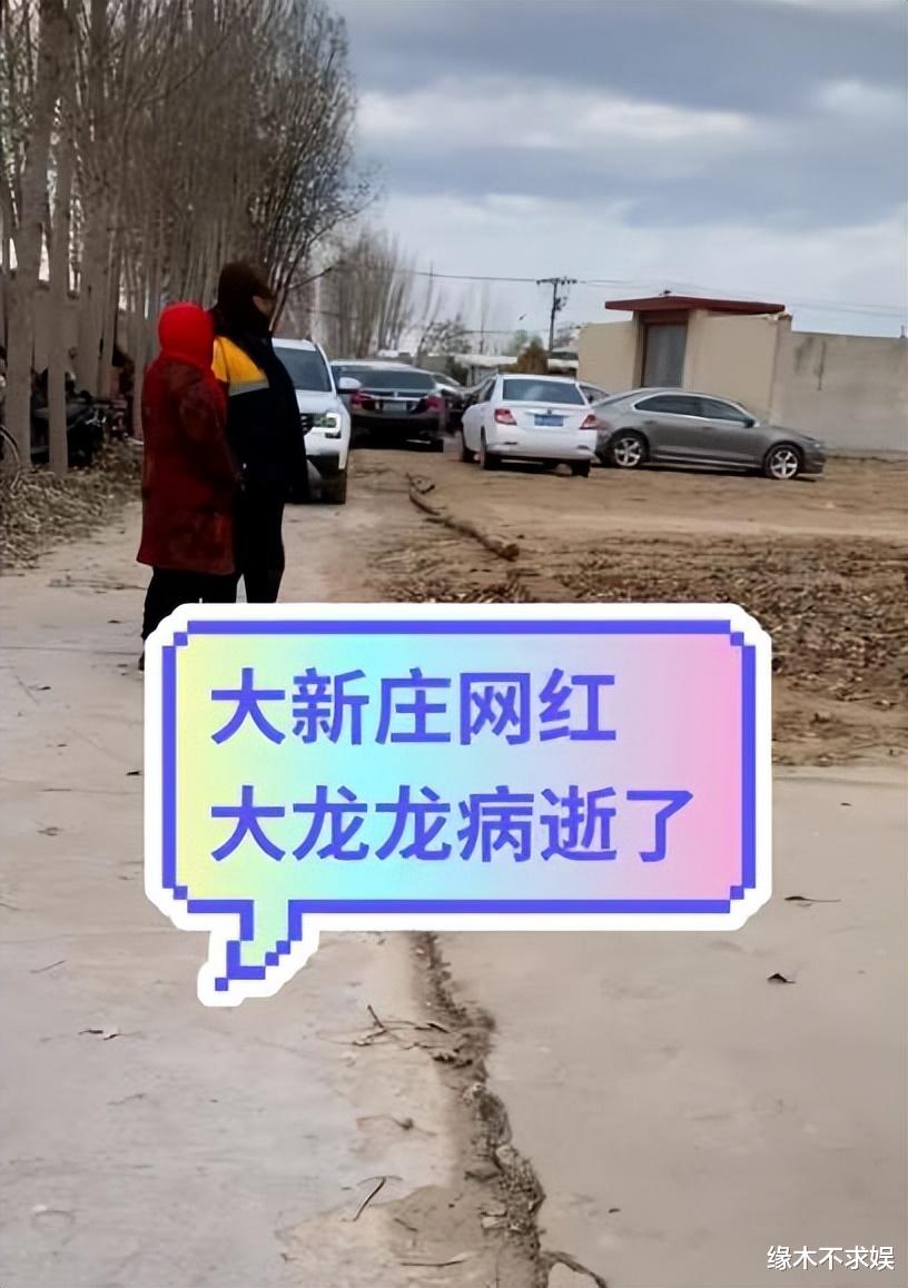 36岁网红大龙龙去世,生前爱喝饮料爱熬夜,10月份露面气色极差!