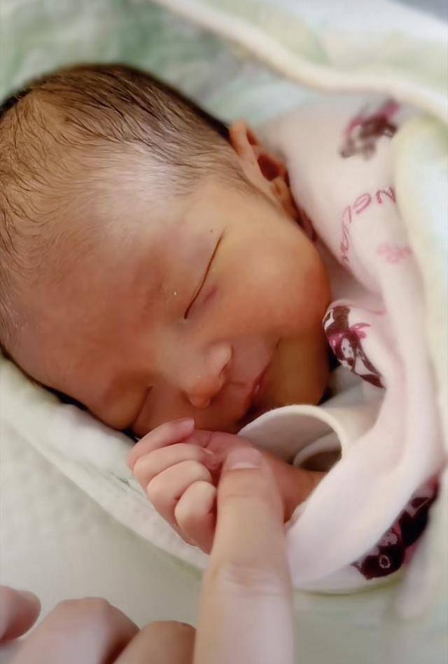 毕夏|张恒远临终与妻儿告别曝光，毕夏哭肿双眼成泪人，设灵请法师超度