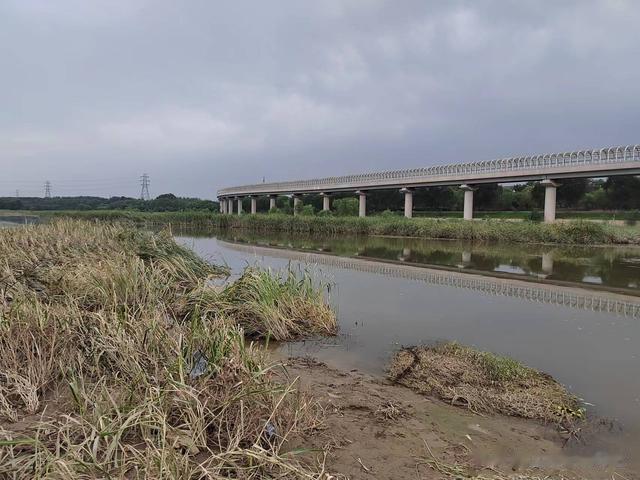 钓鱼日记——2023年8月6日(巩华城夜钓)