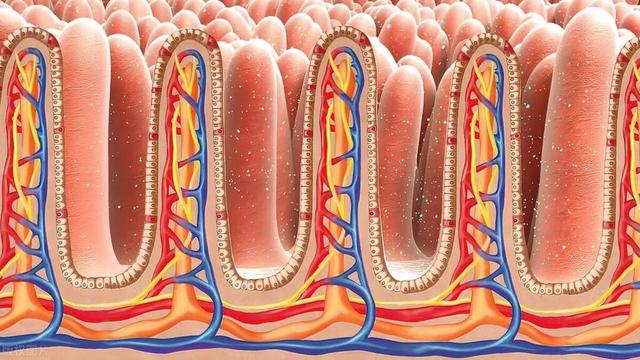 茄子的公敌有哪些？不可一起同食，越吃病越多，爱吃茄子要注意