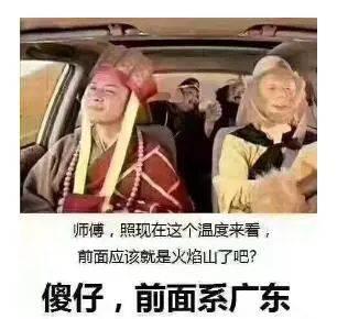 原始森林|超大原始森林 / 天然氧吧 / 亲子乐园 · 约1小时车程