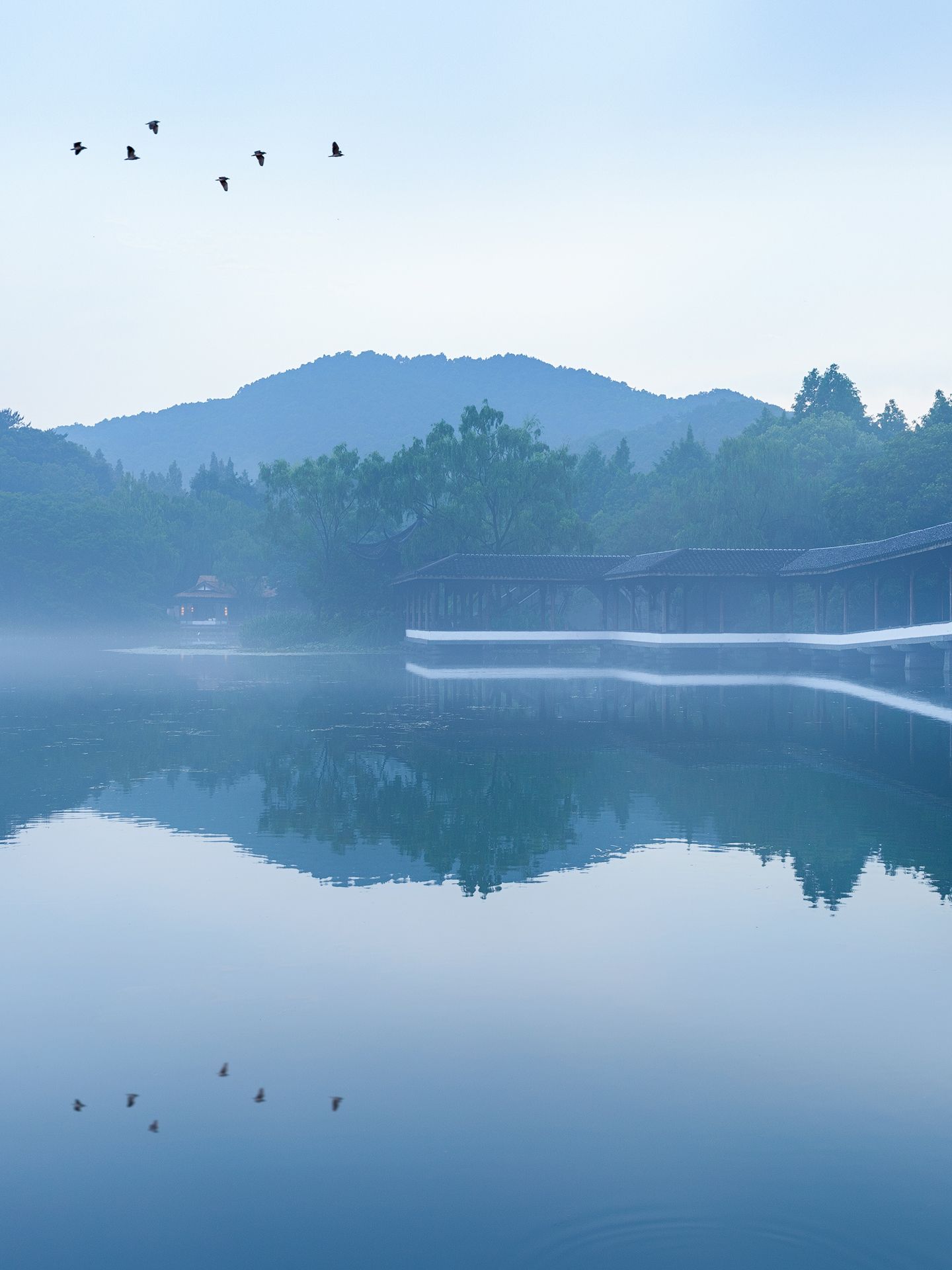 杭州|拍了6年西湖，我总结出 个绝美拍照地
