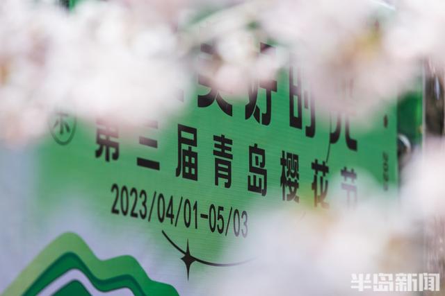 美丽|樱花初绽,中山公园人海了