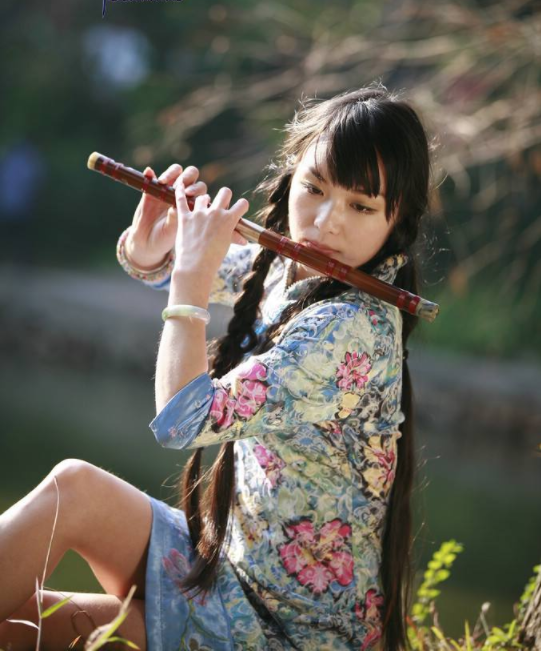 女子十二乐坊|当年红遍国内的“女子十二乐坊”，现如今销声匿迹，原因为何！