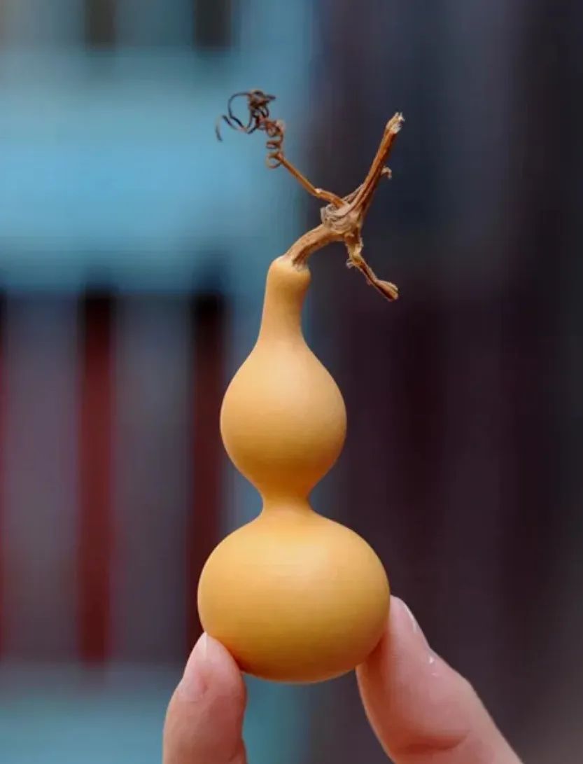 文玩人玩的有多“花”,你根本想象不到!