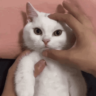 Jennie是真觉得对方配不上自己了吧？一朝上岸就把床宝给踹了