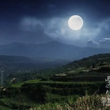 佬李侃德军
