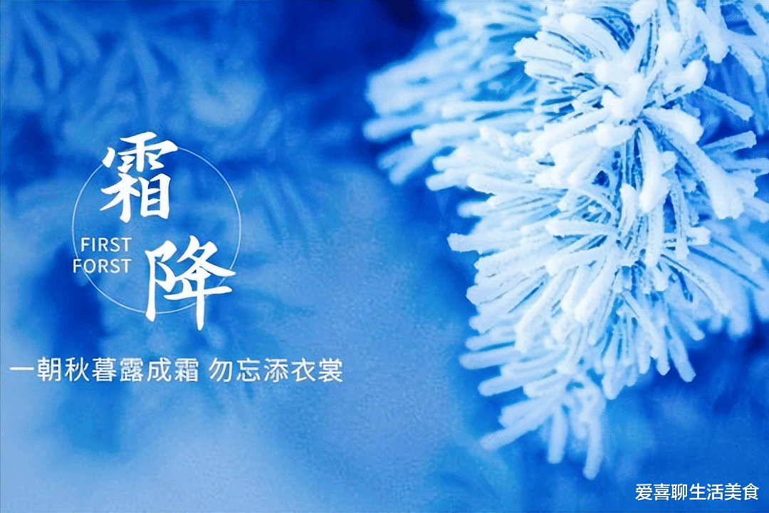 豆芽|它是如意菜，名字秀气营养美味，搭配咸菜炒一盘，酸爽开胃特好吃