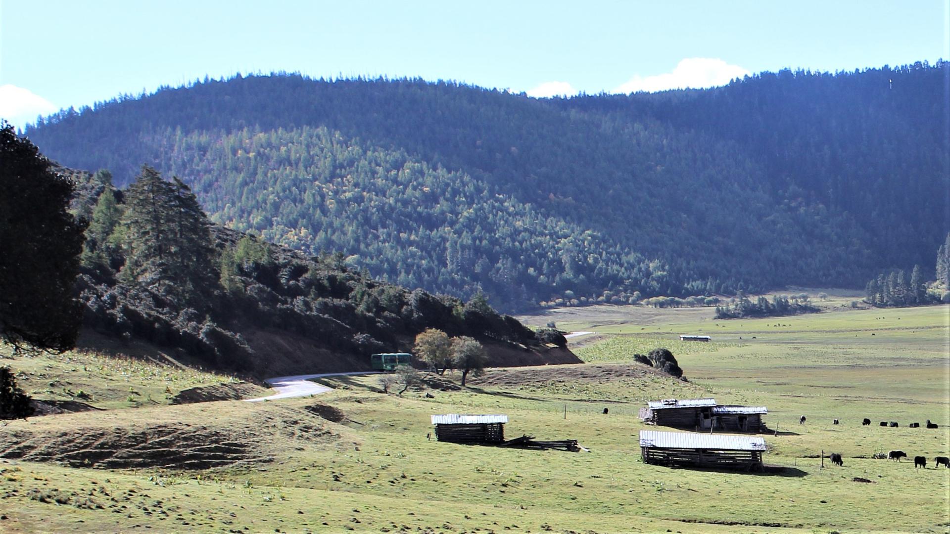 嘉兴|洞察与替代，重塑职场认知