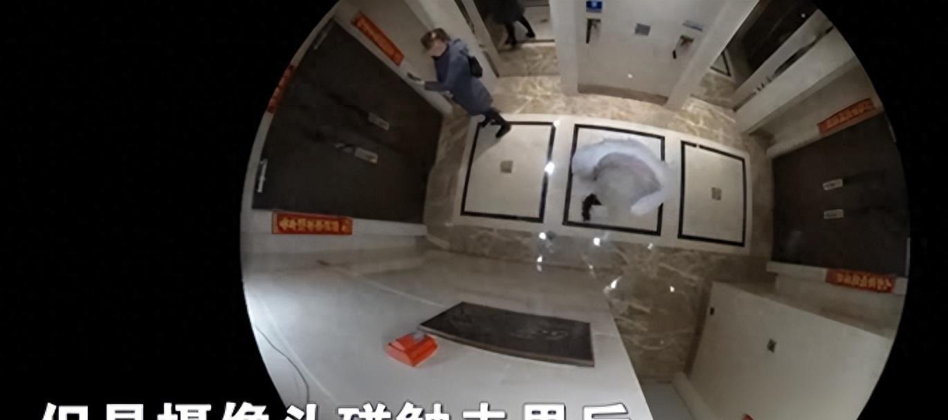 离婚7年!王子豪亲手撕掉了自己母亲马蓉的“遮羞布”