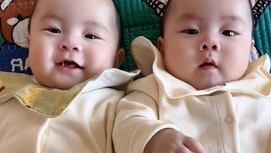 洪欣|曝大衣哥与孙子做亲子鉴定,陈萌疑失望带娃赴京,直言追求不同