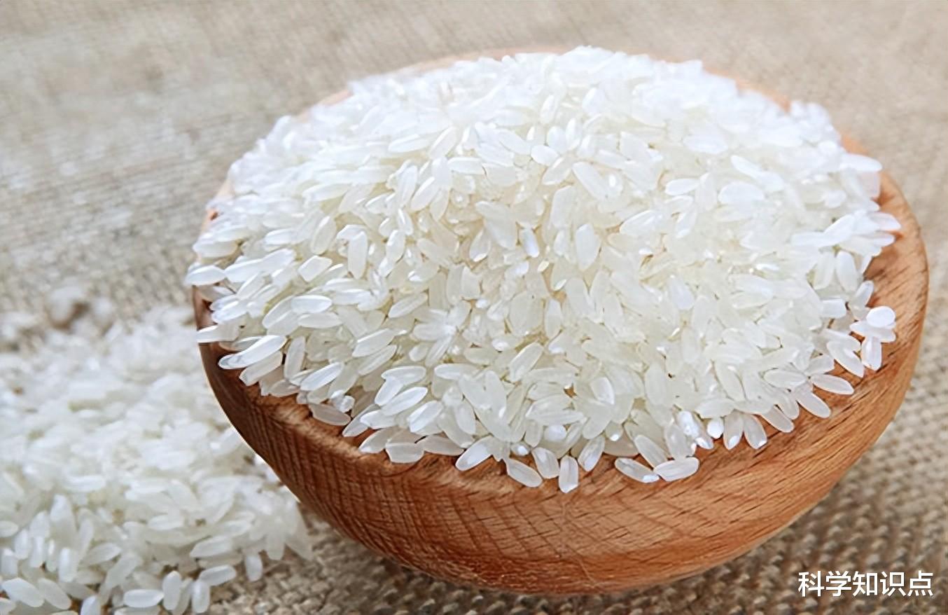 美食探店|中国哪里大米最好吃？这5种大米最为有名，其中有你家乡吗？