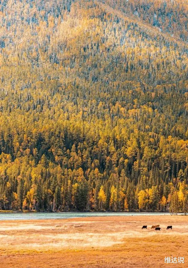 喀纳斯湖|人间净土喀纳斯湖：中国第三大淡水湖，泰加林环绕的西伯利亚风情湖
