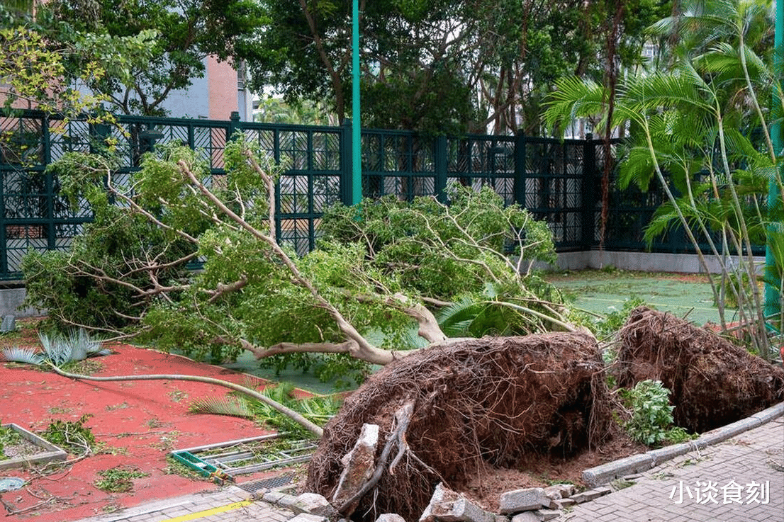 美食教程|“十二三不做，福气不进门”是指啥？明日农历六月十二，建议了解