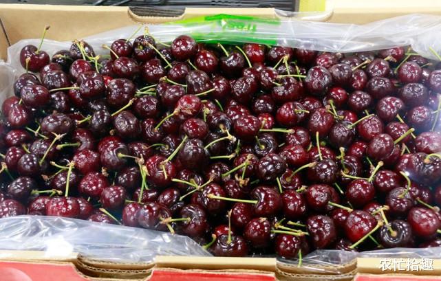 车厘子|产量增长25%，本已跌价6成，却遭电商扫货反涨，网友：贵又没好货