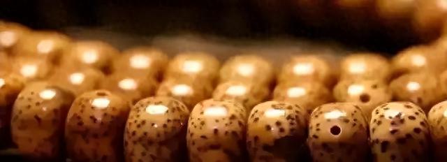 星月菩提为什么盘出来是黄的,而不是红的呢?