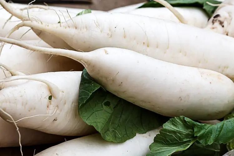 二九吃3白，一年病不来，3白究竟指什么？如何通过3白在冬天达到滋补的效果