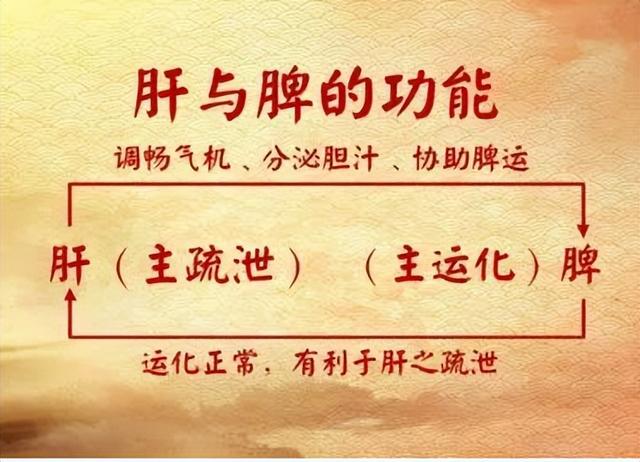 化瘀不疏肝，效果难显现！教你一招，疏肝活血，打通一身瘀堵