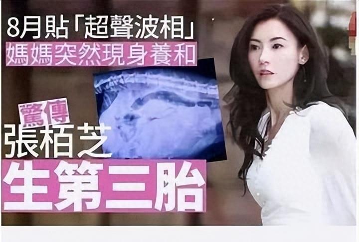 港媒曝张柏芝停工真相！“家暴男”孙东海死性不改，孩子都不放过