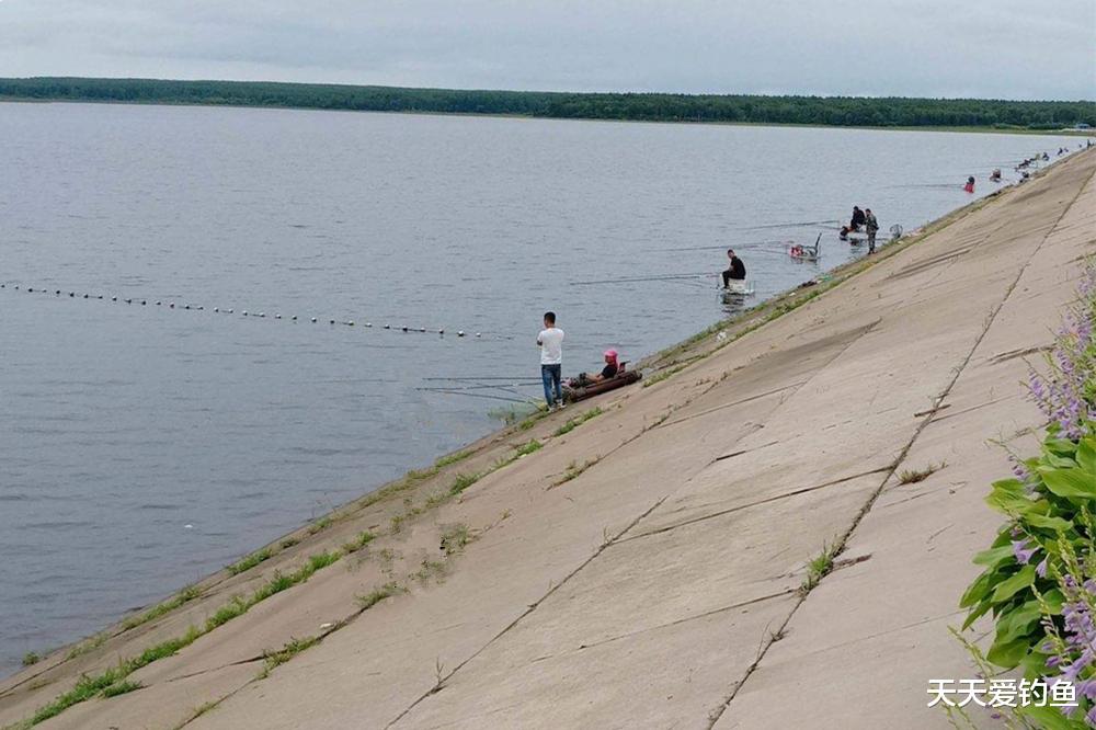 7分钓位,3分钓技!4种常见鱼类,4个经典钓位