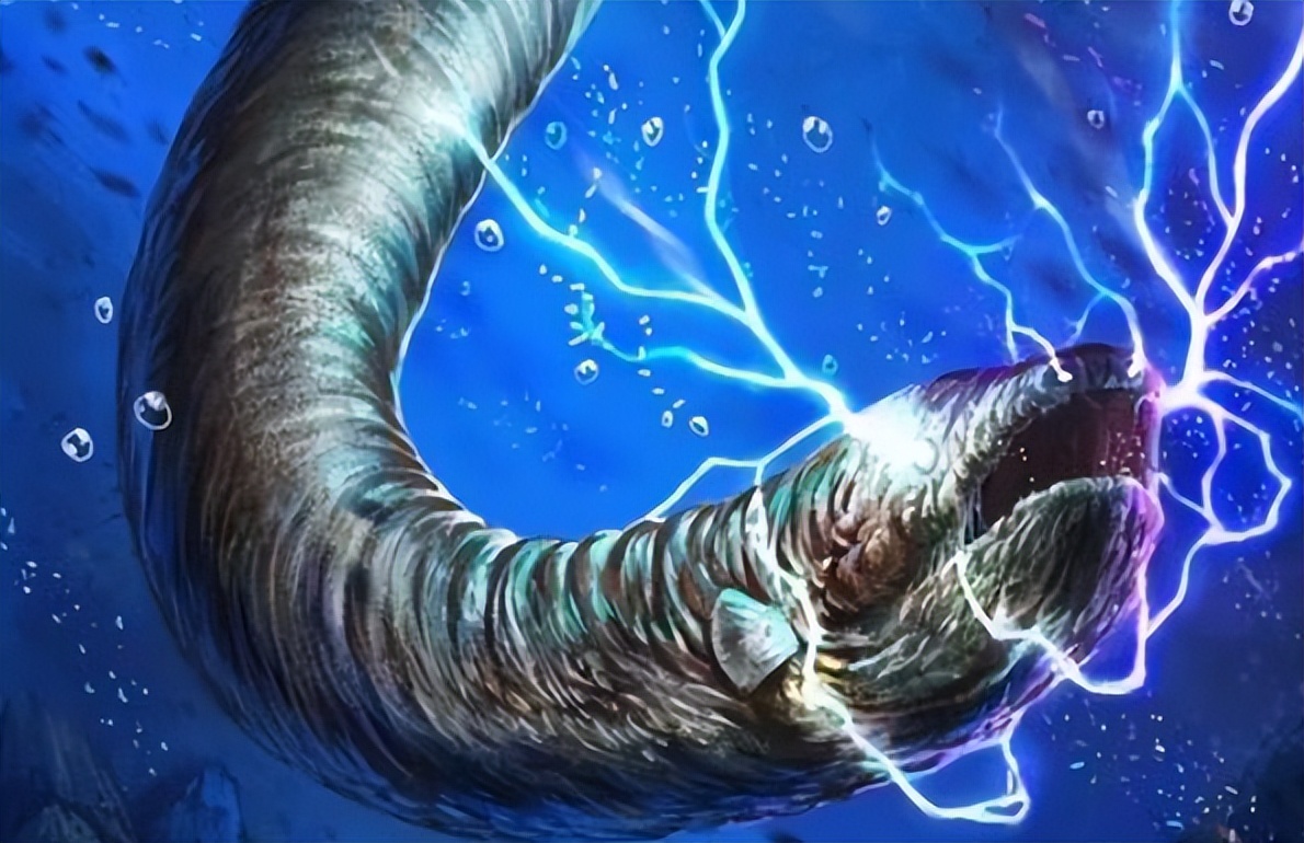 用电鳗的电电电鳗,电鳗会被电死吗?