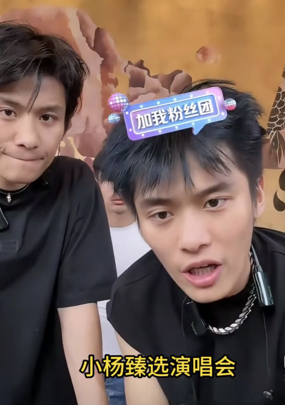 明星给网红打工!小杨哥演唱会众星云集,成本已超三千万