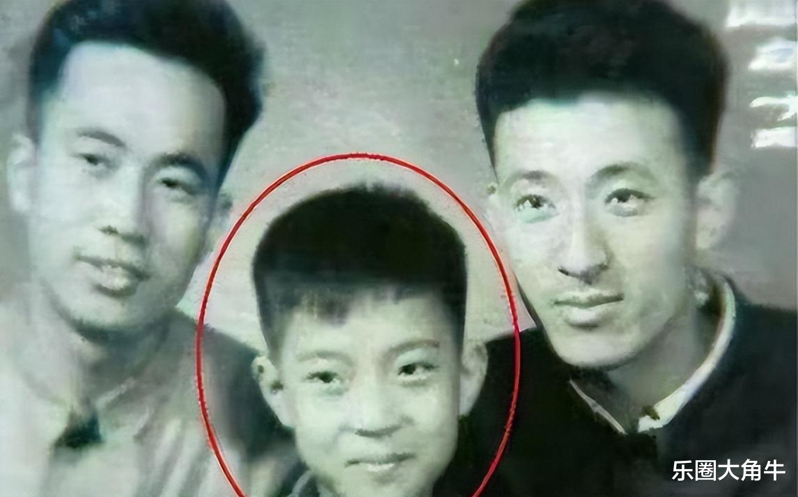 73岁的牛群，一切都结束了