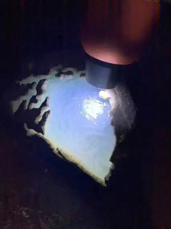 |分享莫西沙翡翠原石,开窗呈现高冰蓝花