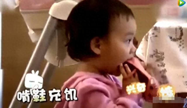 瞒不住了!贾乃亮与李小璐的前缘再起,网友:复婚?意料之中?